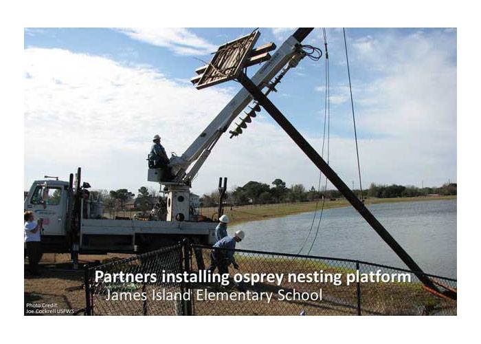 Osprey nesting platform against the sky