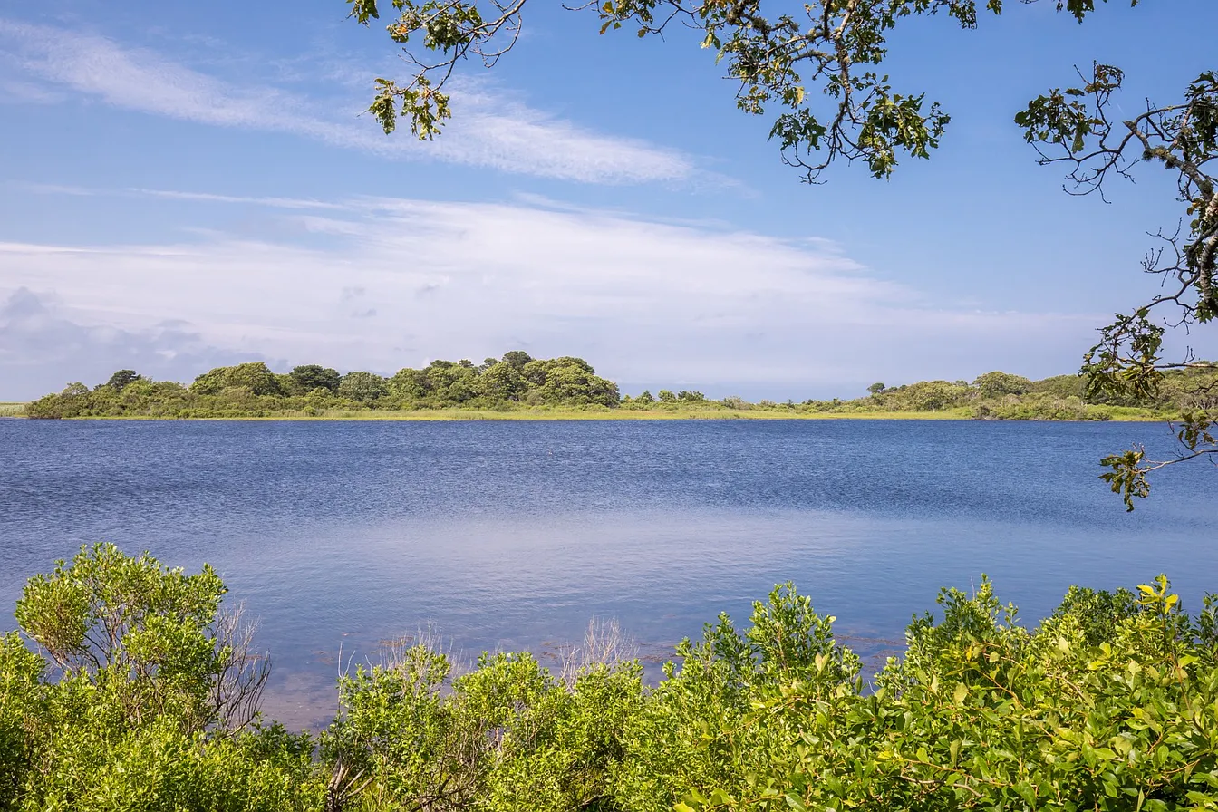 The still water of Trapps Pond
